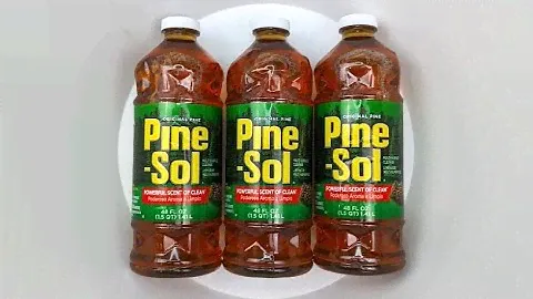🌲Original Formula Pine Sol🌲